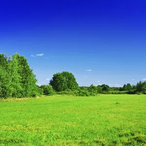 Green meadow Green meadow
