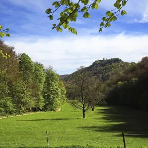 Prairie verte à Bad Urach, entourée d'arbres et de collines sous des cieux clairs.