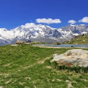 Green meadow with rocks in front of a snow-covered mountain panorama under a clear sky