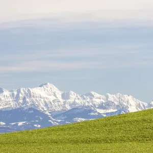 Green meadow in front of snow-covered mountains under a clear sky Green meadow in front of snow-covered mountains under a clear sky