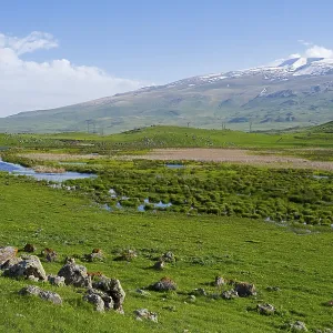 Green meadows with a meandering stream and a mountain range in the background under a clear sky Green meadows with a meandering stream and a mountain range in the background under a clear sky