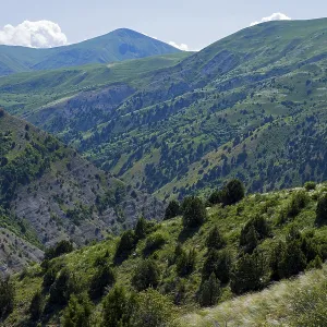 Green mountains with thick forests under blue skies create a peaceful landscape Green mountains with thick forests under blue skies create a peaceful landscape