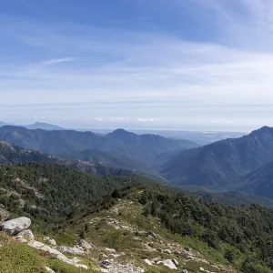 Corsica Landscape Print: Green Mountains and Valleys