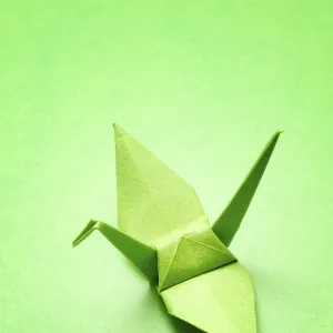 Green origami crane on a matching green background Green origami crane on a matching green background