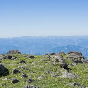 Green pasture in mountains during summer as nature background Green pasture in mountains during summer as nature background