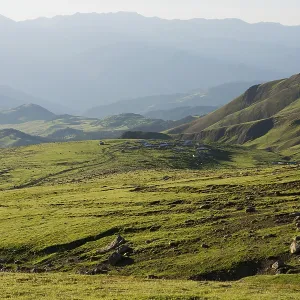 Green pasture in mountains during summer as nature background Green pasture in mountains during summer as nature background