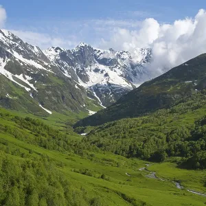 Green valley with river, surrounded by snow-capped mountains and forest