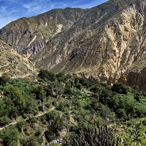 Colca Canyon Landscape Print, Peru