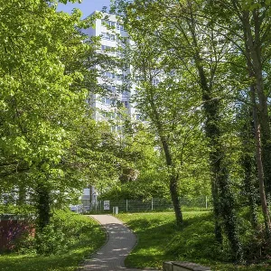 Grohner Dune skyscraper in spring