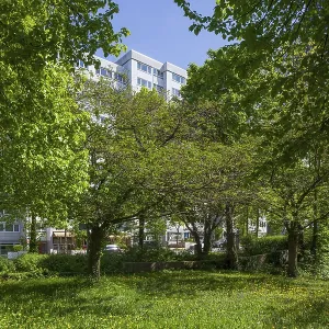 Grohner Dune skyscraper in spring