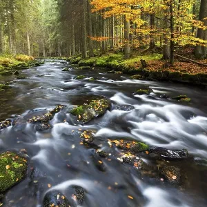 Grosser Regen river, autumn, Bavarian Forest National Park