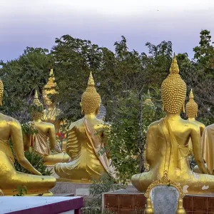 A group of golden Buddha statues at the Buddhist Cemetery