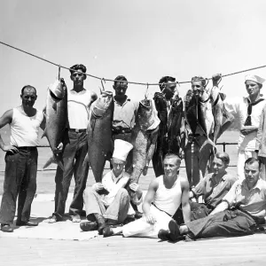 Group of men posing with various captured groupers and mackerel