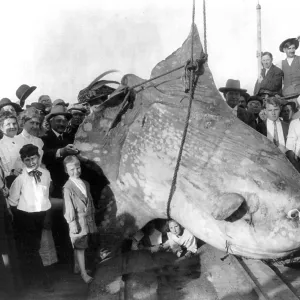 A group of onlookers, children