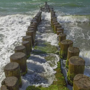Ahrenshoop Coastal Protection Structure Print, Germany