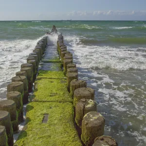 Ahrenshoop Coastal Protection Structure Print