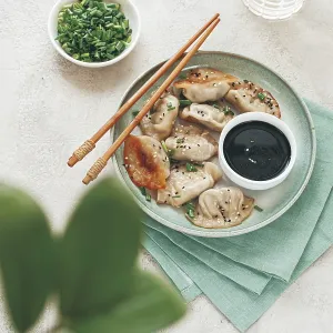 Gyoza Japanese Dumplings Print Gyoza Japanese Dumplings Print