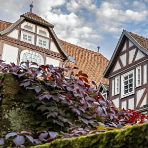 Half-timbered house with ivy and climbing plants against a cloudy sky Half-timbered house with ivy and climbing plants against a cloudy sky
