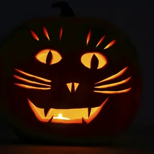 Halloween pumpkin, jack-o'-lantern