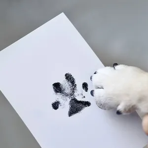 Hand holding dog paw next to prints on white paper