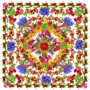 Happiness lotus square mandala made from fresh summer flowers Happiness lotus square mandala made from fresh summer flowers
