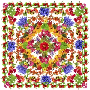 Happiness lotus square mandala made from fresh summer flowers Happiness lotus square mandala made from fresh summer flowers