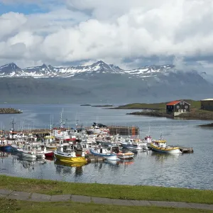 Harbour, Djupivogur, Iceland Harbour, Djupivogur, Iceland
