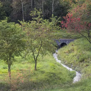 Harz landscape in autumn