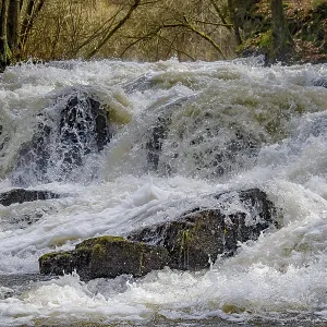 Harz Waterfall of the Selke near Alexisbad in the Harz with high water Harz Waterfall of the Selke near Alexisbad in the Harz with high water