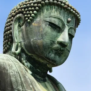 Head of sitting Buddha Amida Nyorai Head of sitting Buddha Amida Nyorai
