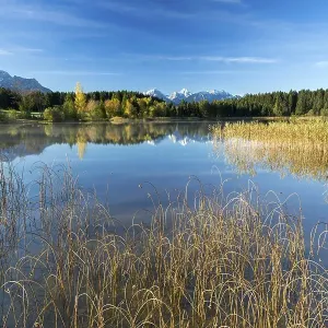 Hegratsrieder See lake on an autumn morning Hegratsrieder See lake on an autumn morning