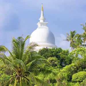 The hemispherical dome named Stupa