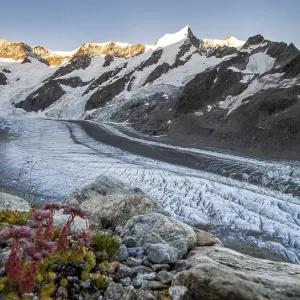 High alpine landscape, sunrise High alpine landscape, sunrise