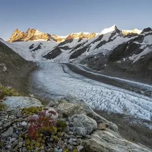 High alpine landscape, sunrise High alpine landscape, sunrise