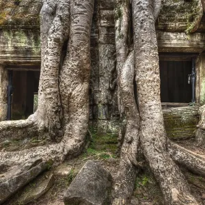 High dynamic range (hdr) image of ancient ruins with tree roots