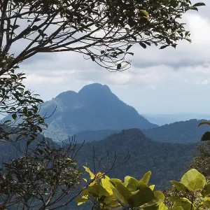 High mountain and cloudy sky in the jungle High mountain and cloudy sky in the jungle