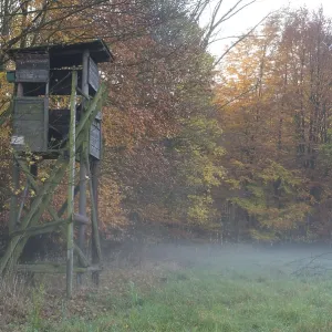 High seat, Kurler bush, Dortmund