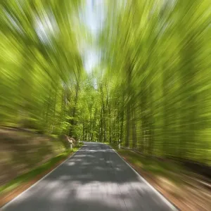 High speed motion, country road through a forest