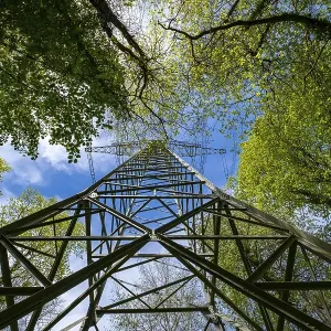 High-voltage pylon, electricity pylon in the forest