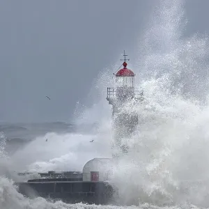 High Waves Print: Stormy Porto Coast Scene High Waves Print: Stormy Porto Coast Scene