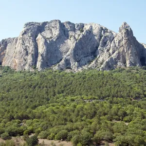 Highest mountain and dense forest at its foot