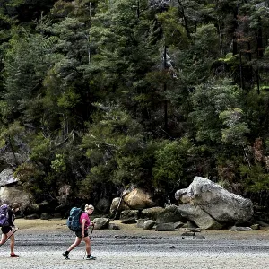 Hikers on the Low Tide Track in Torrent Bay