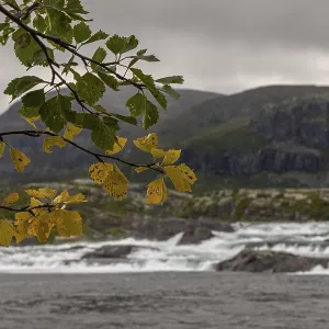 Hiking to the lower waterfalls in Stora Sjofellet NP