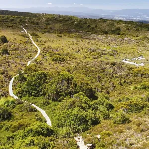 A hiking path and it's vegetation in front of the vastness of Tasmania A hiking path and it's vegetation in front of the vastness of Tasmania