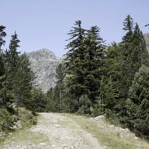 Hiking path, landscape in the Pyrenees Hiking path, landscape in the Pyrenees
