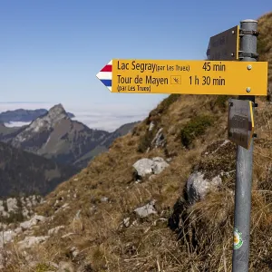 Hiking trail on the ascent to the Tour de Famelon Hiking trail on the ascent to the Tour de Famelon