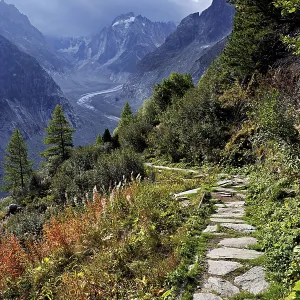 Hiking trail in autumn-colored surroundings with the Mer de Glace glacier Hiking trail in autumn-colored surroundings with the Mer de Glace glacier