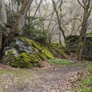 Hiking Trail Harz Selketal