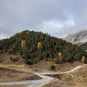 Hiking Trail near Alp da Munt Print, Engadin Switzerland