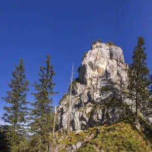 Hiking trail up the Sparber, Osterhorn group